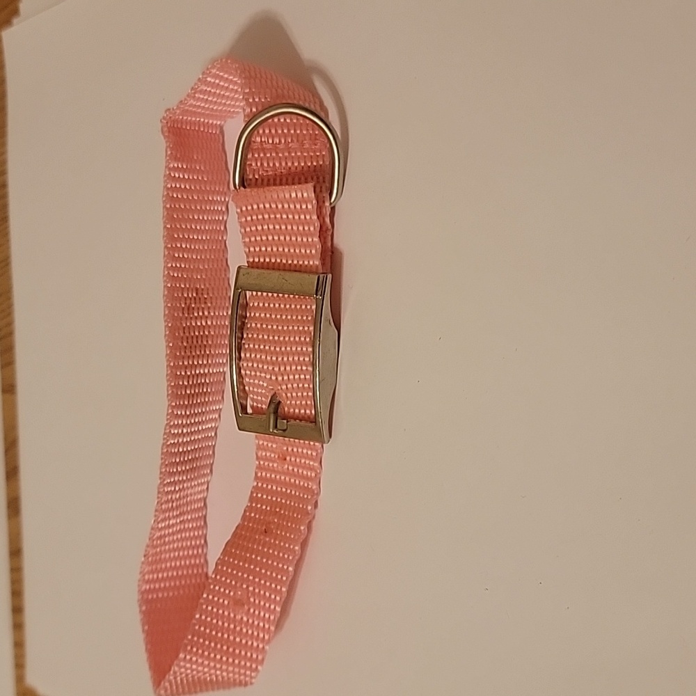 DOG COLLAR - Picture 3 of 4